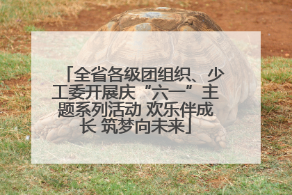 全省各级团组织、少工委开展庆“六一”主题系列活动 欢乐伴成长 筑梦向未来