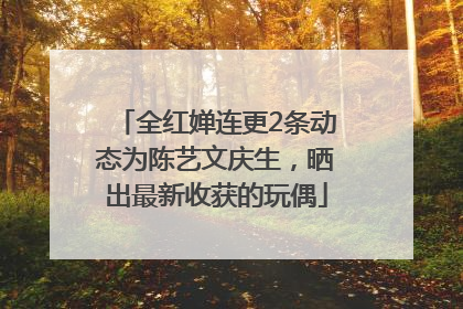 全红婵连更2条动态为陈艺文庆生，晒出最新收获的玩偶