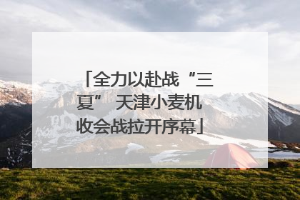 全力以赴战“三夏” 天津小麦机收会战拉开序幕