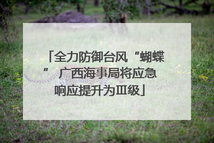 全力防御台风“蝴蝶” 广西海事局将应急响应提升为Ⅲ级
