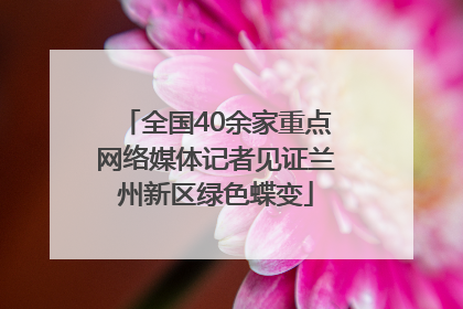 全国40余家重点网络媒体记者见证兰州新区绿色蝶变