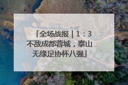 全场战报｜1：3不敌成都蓉城，泰山无缘足协杯八强
