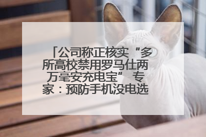 公司称正核实“多所高校禁用罗马仕两万毫安充电宝” 专家：预防手机没电选中等体积产品即可