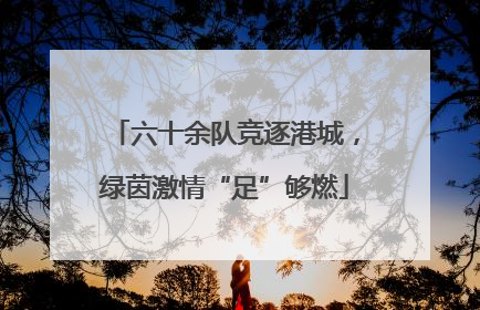 六十余队竞逐港城，绿茵激情“足”够燃