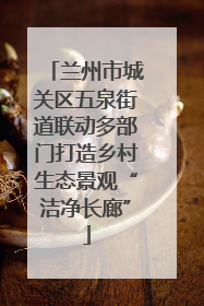 兰州市城关区五泉街道联动多部门打造乡村生态景观“洁净长廊”