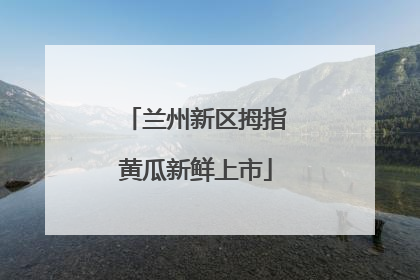 兰州新区拇指黄瓜新鲜上市