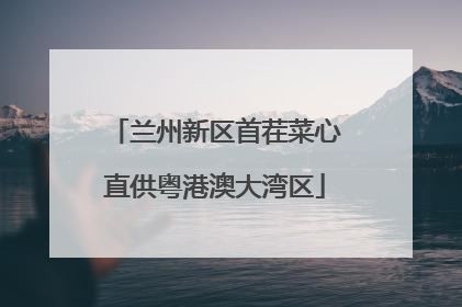 兰州新区首茬菜心直供粤港澳大湾区