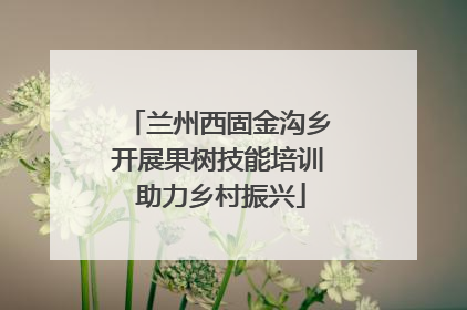 兰州西固金沟乡开展果树技能培训 助力乡村振兴