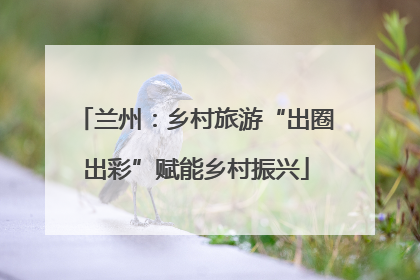 兰州：乡村旅游“出圈出彩”赋能乡村振兴