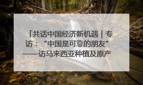 共话中国经济新机遇｜专访：“中国是可靠的朋友”——访马来西亚种植及原产业部副部长陈泓缣
