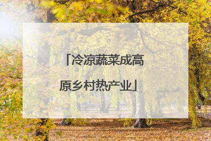 冷凉蔬菜成高原乡村热产业