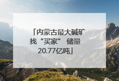 内蒙古最大碱矿找“买家” 储量20.77亿吨
