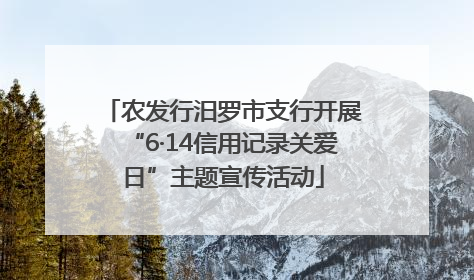 农发行汨罗市支行开展“6·14信用记录关爱日”主题宣传活动