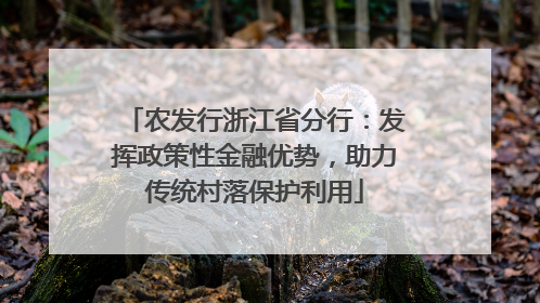 农发行浙江省分行：发挥政策性金融优势，助力传统村落保护利用