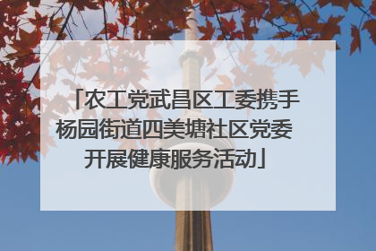 农工党武昌区工委携手杨园街道四美塘社区党委开展健康服务活动