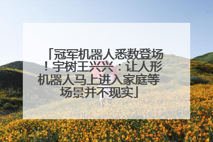 冠军机器人悉数登场！宇树王兴兴：让人形机器人马上进入家庭等场景并不现实