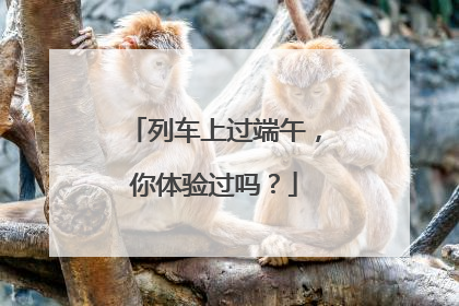 列车上过端午，你体验过吗？
