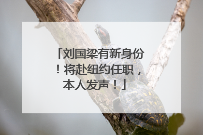 刘国梁有新身份！将赴纽约任职，本人发声！