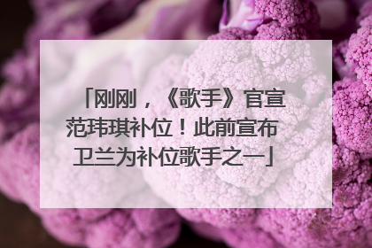 刚刚，《歌手》官宣范玮琪补位！此前宣布卫兰为补位歌手之一