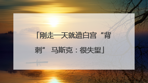 刚走一天就遭白宫“背刺” 马斯克：很失望