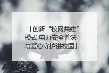 创新“校网共建”模式 电力安全普法与爱心守护进校园