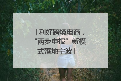 利好跨境电商，“两步申报”新模式落地宁波