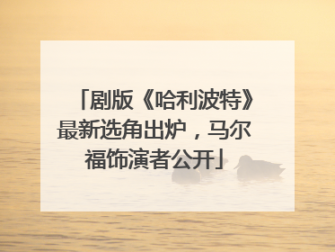 剧版《哈利波特》最新选角出炉，马尔福饰演者公开