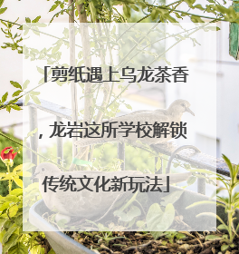 剪纸遇上乌龙茶香，龙岩这所学校解锁传统文化新玩法