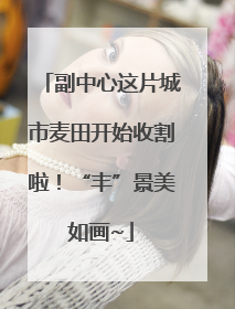 副中心这片城市麦田开始收割啦！“丰”景美如画~