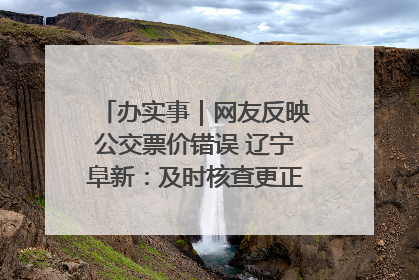 办实事｜网友反映公交票价错误 辽宁阜新：及时核查更正 加强实时巡检
