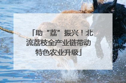 助“荔”振兴！北流荔枝全产业链带动特色农业升级
