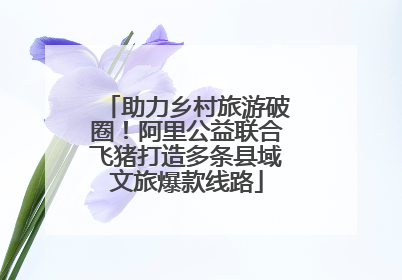 助力乡村旅游破圈！阿里公益联合飞猪打造多条县域文旅爆款线路