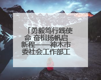 勇毅笃行践使命 奋楫扬帆启新程——神木市委社会工作部工作纪实