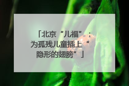 北京“儿福”：为孤残儿童插上“隐形的翅膀”