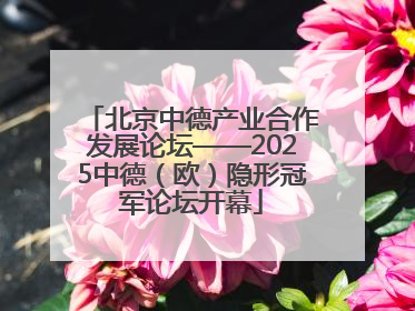 北京中德产业合作发展论坛——2025中德（欧）隐形冠军论坛开幕
