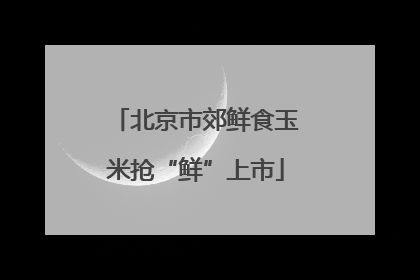北京市郊鲜食玉米抢“鲜”上市