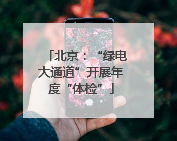 北京：“绿电大通道”开展年度“体检”