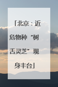 北京：近危物种“树舌灵芝”现身丰台