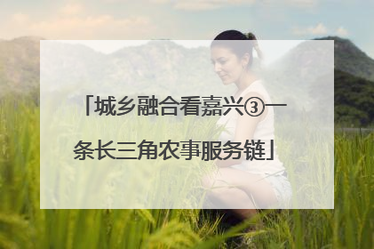 城乡融合看嘉兴③一条长三角农事服务链