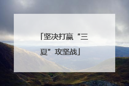 坚决打赢“三夏”攻坚战