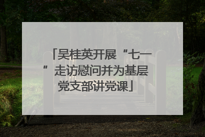 吴桂英开展“七一”走访慰问并为基层党支部讲党课