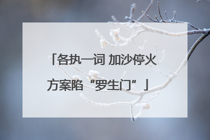 各执一词 加沙停火方案陷“罗生门”