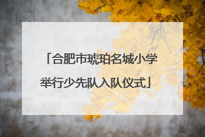 合肥市琥珀名城小学举行少先队入队仪式