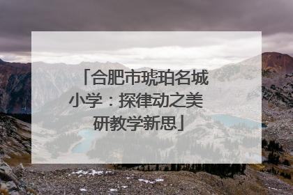 合肥市琥珀名城小学：探律动之美 研教学新思