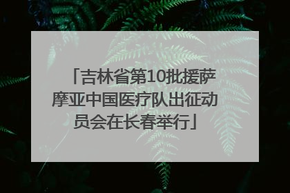 吉林省第10批援萨摩亚中国医疗队出征动员会在长春举行