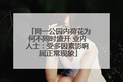 同一公园内荷花为何不同时盛开 业内人士：受多因素影响 属正常现象