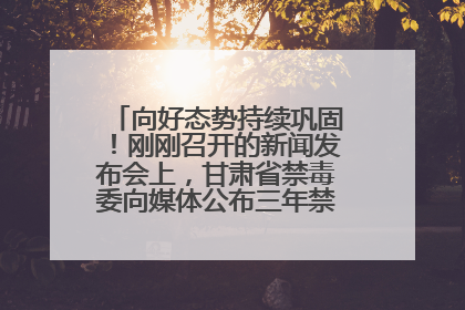 向好态势持续巩固！刚刚召开的新闻发布会上，甘肃省禁毒委向媒体公布三年禁毒工作“成绩单”