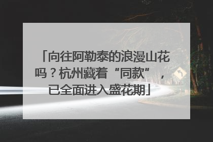 向往阿勒泰的浪漫山花吗？杭州藏着“同款”，已全面进入盛花期