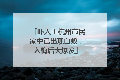 吓人！杭州市民家中已出现白蚁，入梅后大爆发