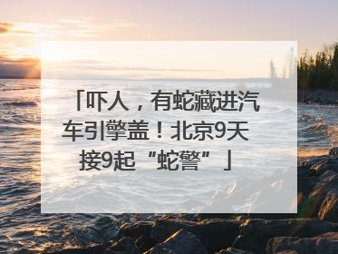 吓人，有蛇藏进汽车引擎盖！北京9天接9起“蛇警”